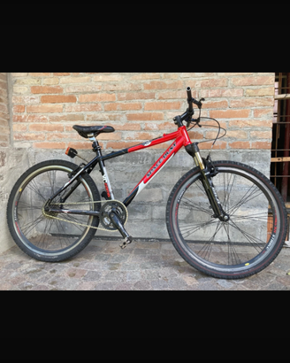 Bicicletta