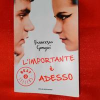 Libro romantico per ragazzi "L.I.E.A." in italiano