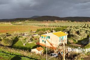 Rustico / Casale di 140 m² con 5 locali a Capalbio