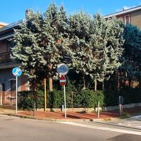 Villa indipendente circondata dal verde