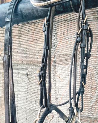 capezza testiera cavallo 