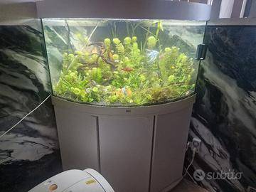 Acquario juwel 190 litri