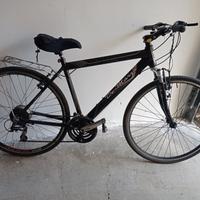 bicicletta da uomo 