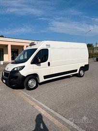 BOXER Peugeot Frigo carni appese