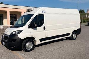 BOXER Peugeot Frigo carni appese