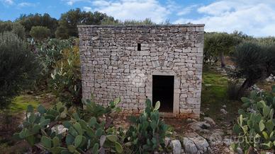 TER. AGRICOLO A POLIGNANO A MARE