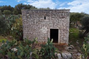 TER. AGRICOLO A POLIGNANO A MARE