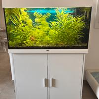 Acquario Juwel rio125
