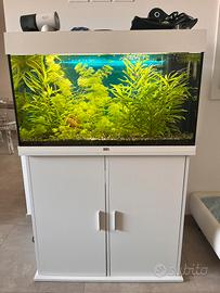 Acquario Juwel rio125