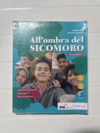All'ombra del Sicomoro