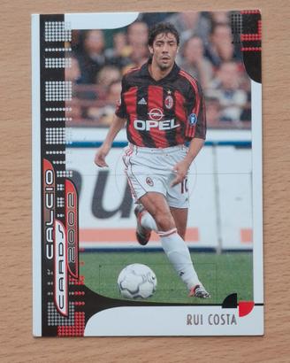 M.Rui Costa