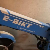 Bici elettrica