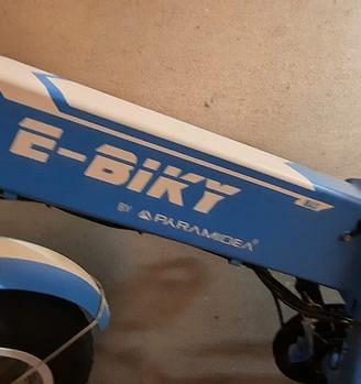 Bici elettrica