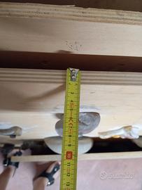 pannelli e prese per boulder