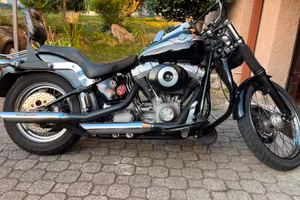 Harley davidson softail standard anniversario