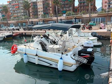 Beneteau Flyer Sundeck 500 Motore Mercury 90 CV