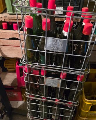 bottiglie vino vuote scure emiliane da 0,750lt