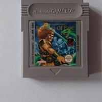 Game boy - Fortress of fear