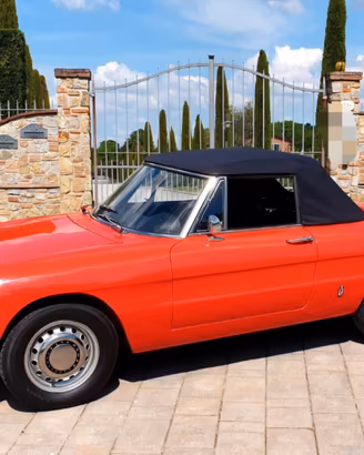 Alfa Romeo Spider Duetto osso di seppia 1750