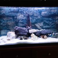 acquario 200 litri
