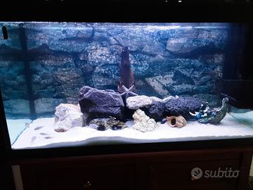 acquario 200 litri