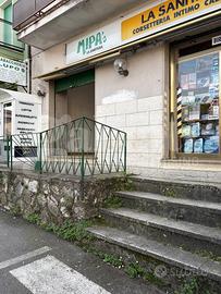 Negozio Colleferro [Cod. rif 3137209ACG]