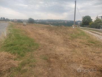 Terreno a Cuffiano