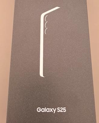 Samsung S25 