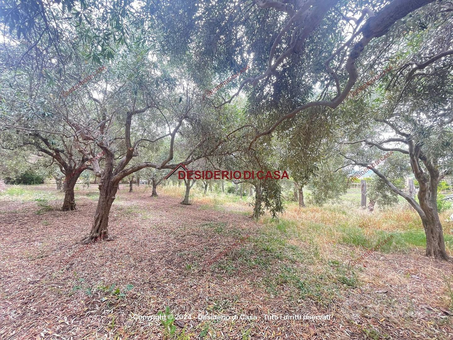 Terreno, Campofelice di Roccella. - Vista 3
