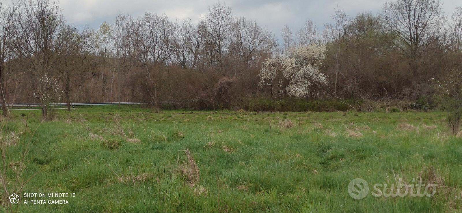 Terreno agricolo - Vista 2