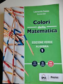Libro colori della matematica edizione verde 