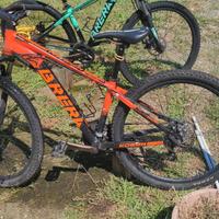 Bicicletta Brera mod. Koban