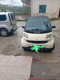 disponibile smart 