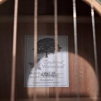 Chitarra acustica 3/4 Taglewood.