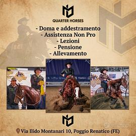 Scuderia, Maneggio, Centro ippico, Reining