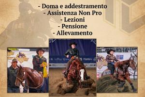 Scuderia, Maneggio, Centro ippico, Reining
