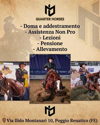 Scuderia, Maneggio, Centro ippico, Reining