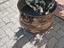 Immagine 2
