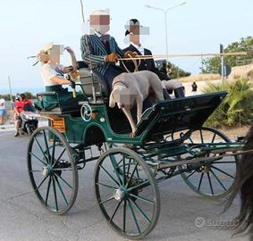 carrozza break luxury