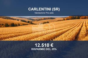 Immobile in asta di 235450 m² a Carlentini