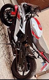R6 50 th
