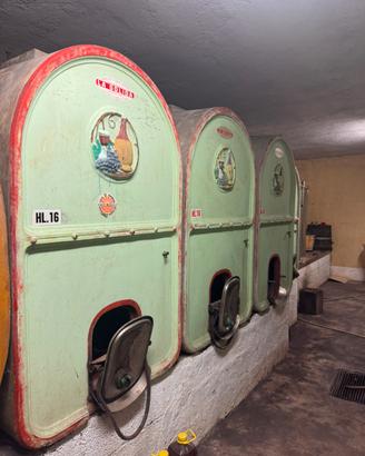 Botti per il vino