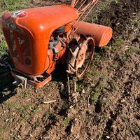 Motocoltivatore nibbi