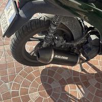 Scarico malossi per sh 125-150 2023 in poi