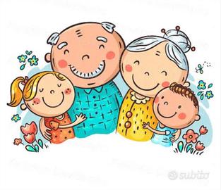 Collaboratore familiare autista domestico