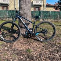 Whelly bike (prezzo trattabile)