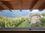 Immagine 14