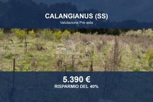 Immobile in asta di 1088 m² a Calangianus