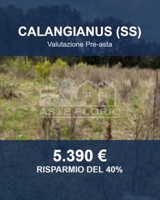 Immobile in asta di 1088 m² a Calangianus