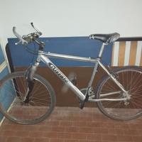 Bicicletta Mountain bike